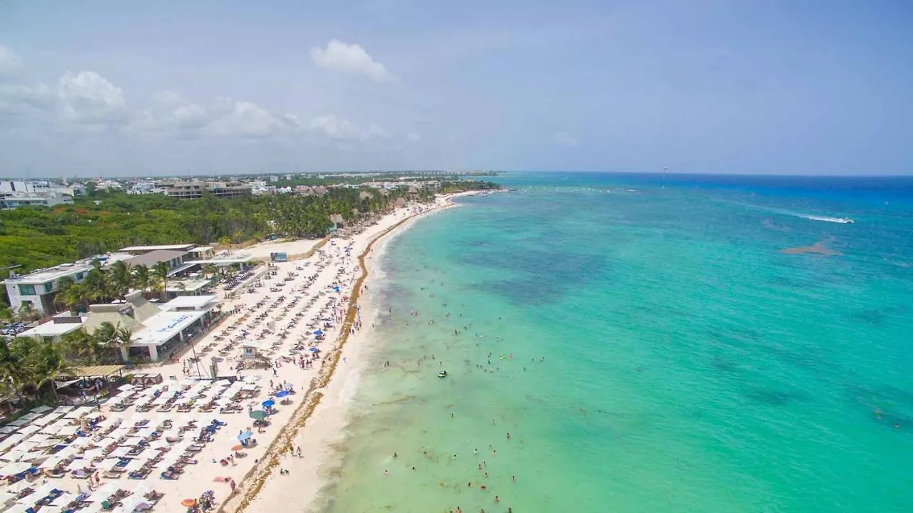 Torre 48 By Andiani Travel Apartment Playa del Carmen